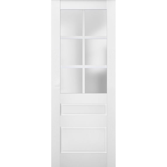 Slab Barn Door Panel Frosted Glass | Veregio 7339 White Silk | Sturdy Finished Doors | Pocket Closet Sliding-30" x 80"