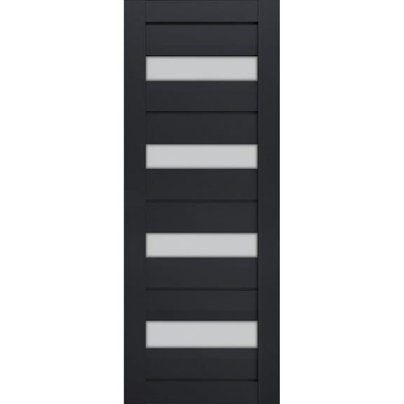 Slab Barn Door Panel Frosted Glass | Veregio 7455 Antracite | Sturdy Finished Doors | Pocket Closet Sliding-36" x 84"