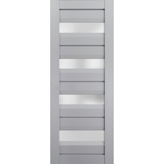 Slab Barn Door Panel Frosted Glass | Veregio 7455 Matte Grey | Sturdy Finished Doors | Pocket Closet Sliding-24" x 96"