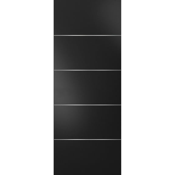 Slab Barn Door Panel | Planum 0020 Matte Black | Sturdy Finished Doors | Pocket Closet Sliding-24" x 84"