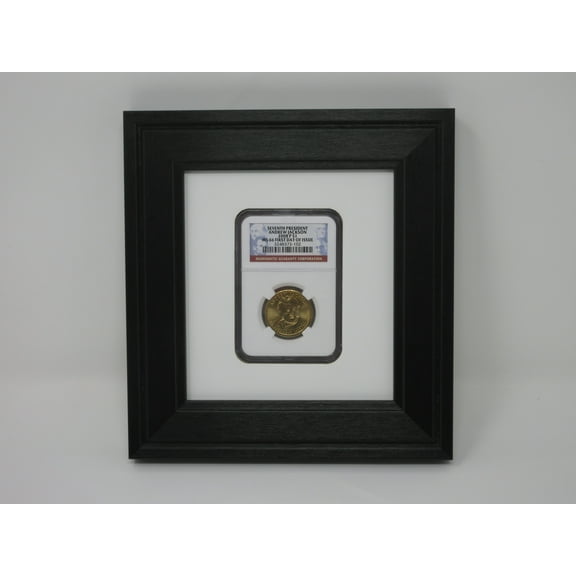 Slabbed Graded Coin Case (Not Included) Picture Display Wall Frame for NGC Graded Coins Made in America