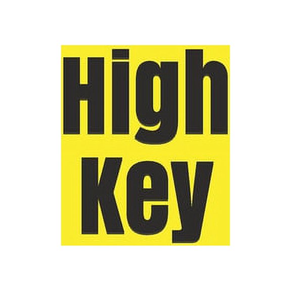 Slang Notebooks High Key, Book 11, (Paperback)