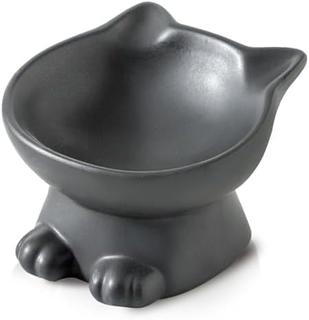 Slanted Elevated Cat Bowls: 5 Inch Ceramic Raised Cat Food Bowl for Protecting Pet's Spine - Microwave & Dishwasher Safe -Matte Black (4.5 OZ /1 PC)