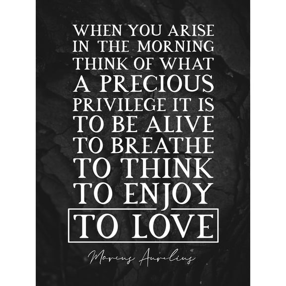 Slate Inspiring Quote Marcus Aurelius Morning Precious Privilege Alive Extra Large XL Wall Art Poster Print