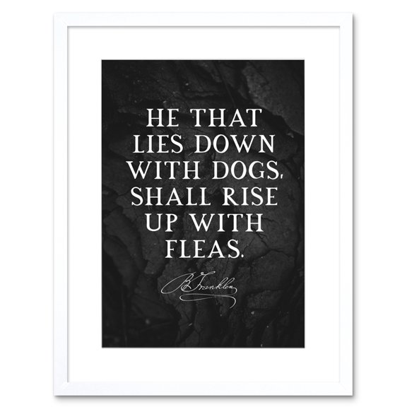 Slate Quote Benjamin Franklin Dogs Fleas Artwork Framed Wall Art Print 9X7 Inch