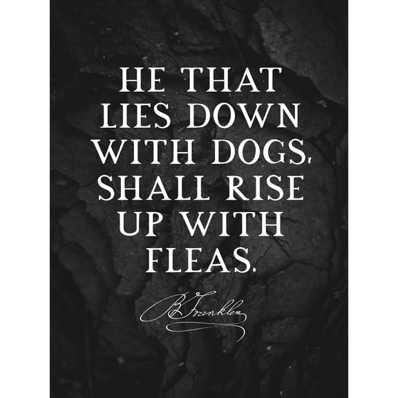 Slate Quote Benjamin Franklin Dogs Fleas Extra Large XL Wall Art Poster Print