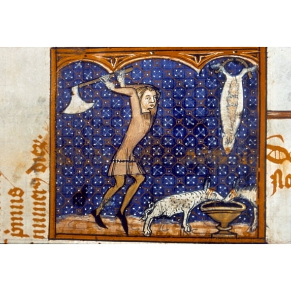 Slaughtering Pigs 14Th C. Nslaughtering Pigs In December Illumination From A Late 14Th Century French Psalter. Print by