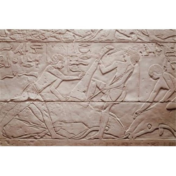 Slaughtering Scene 2250 BC Egyptian Art- Relief Staatliche Museen Preussischer Kulturbesitz Agyptisches Museum Poster Print - 18 x 24 in.