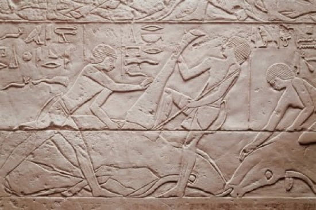 Slaughtering Scene 2250 BC Egyptian Art(- ) Relief Staatliche Museen Preussischer Kulturbesitz (Agyptisches Museum und Papyrussammlung) Berlin Canvas Art - (18 x 24)
