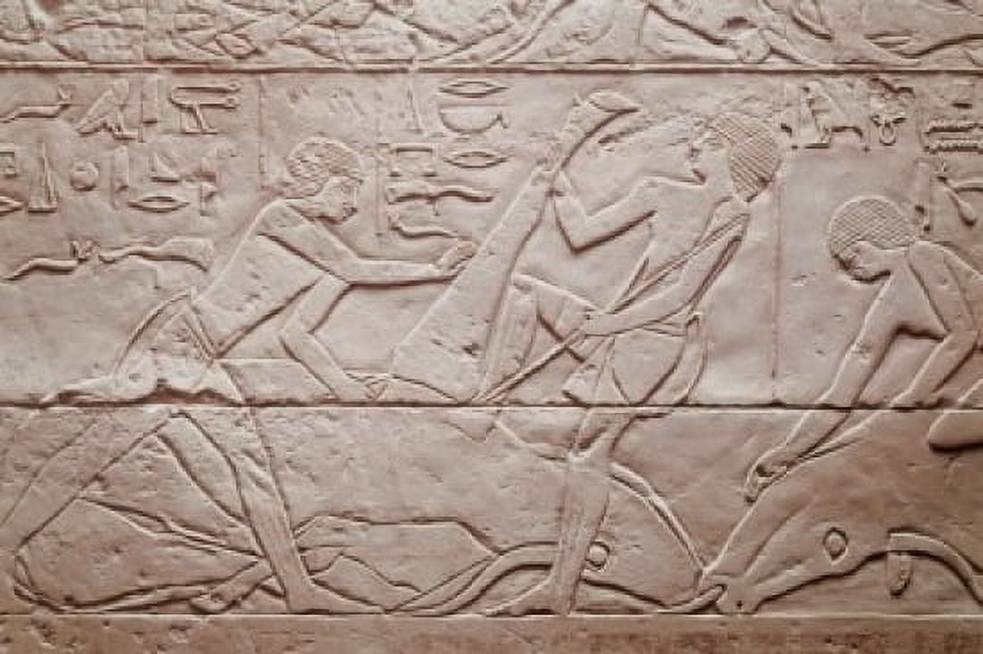 Slaughtering Scene 2250 BC Egyptian Art(- ) Relief Staatliche Museen Preussischer Kulturbesitz (Agyptisches Museum und Papyrussammlung) Berlin Canvas Art - (24 x 36)