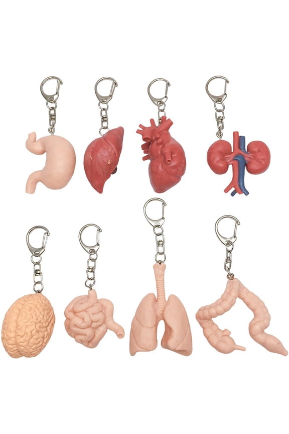 8Pcs Human Anatomy Keychains Creative Heart Keyrings Personalized Key Holder for Backpack Shoulder Bag Purse Decoration