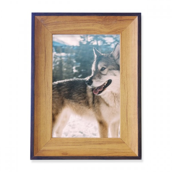 Sle White Dog Snow Picture Photo Frame Exhibition Display Art Desktop Painting