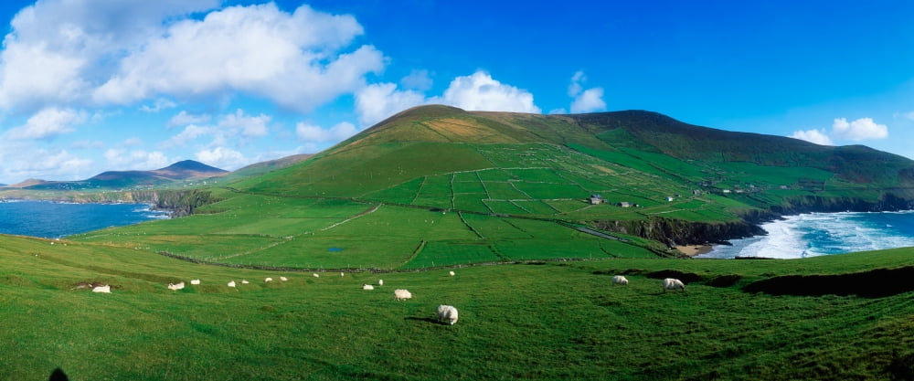 Slea Head Dingle Peninsula Co Kerry Ireland Canvas Art - The Irish Image Collection Design Pics (44 x 18)