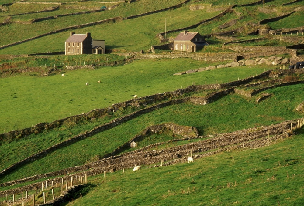 Slea Head Dingle Peninsula County Kerry Ireland Aerial Of Farmscape Canvas Art - Richard Cummins Design Pics (18 x 12)