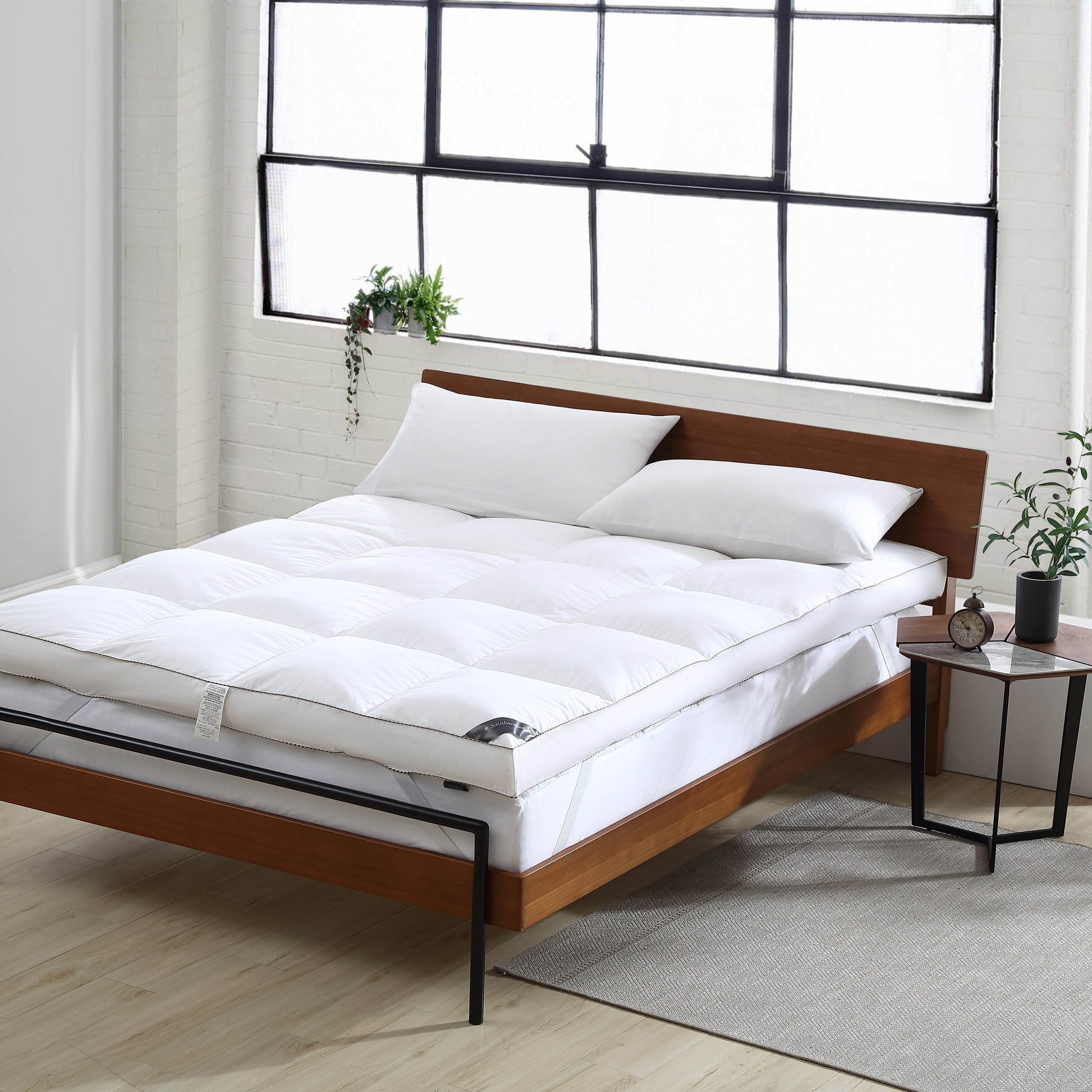 Sleep Brands Smithsonian Sleep Collection 4inch White Goose Down