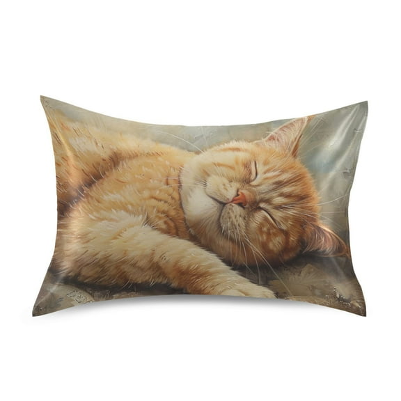 Sleep Cat Pillowcases Soft Satin Pillow Covers Decorative Rectangle Envelope Closure for Women Men