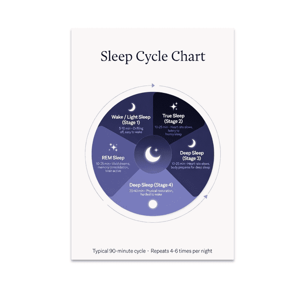 Sleep Cycle Chart Infographic Wall Art - Sleep Enthusiast - 13x19 Poster Print