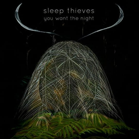 Sleep Thieves - You Want the Night - Pop Rock - Vinyl