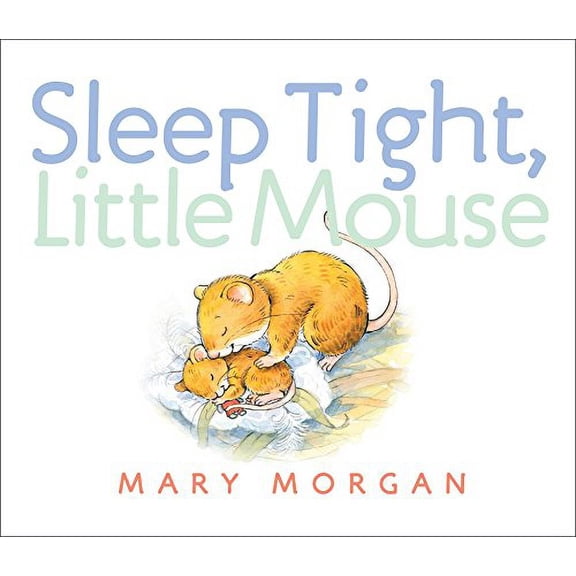 Pre-Owned Sleep Tight, Little Mouse (Board book) 0553498290 9780553498295