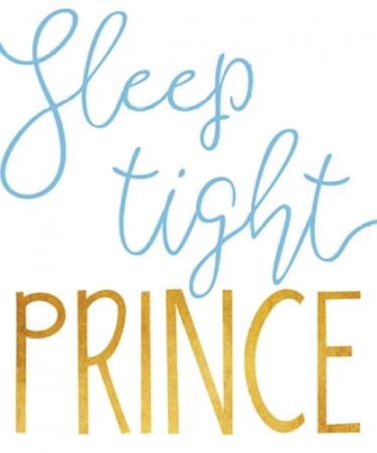 Sleep Tight Prince Canvas Art - Alli Rogosich (20X24)