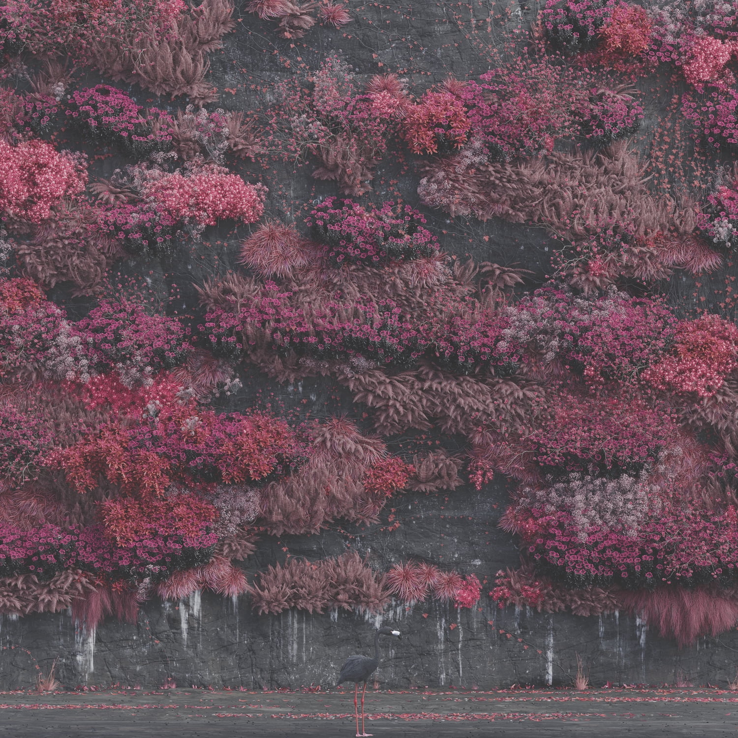 雷鳥夜光 SHE'll SLEEP×INKYMAP CD 雷鳥夜光 CD SHE'll SLEEP INKYMAP CD SHE'll SLEEPの通販はau PAY