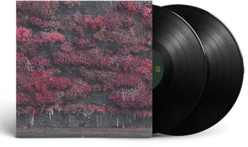 【新品未開封】【レコード】Sleep Token Even In Arcadia EVEN IN ARCADIA - FEATHERED HOST LP (US Exclusive | Final