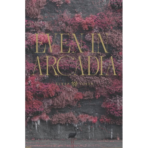 Sleep Token - Flamingo Even In Arcadia Wall Poster, 22.375" x 34"