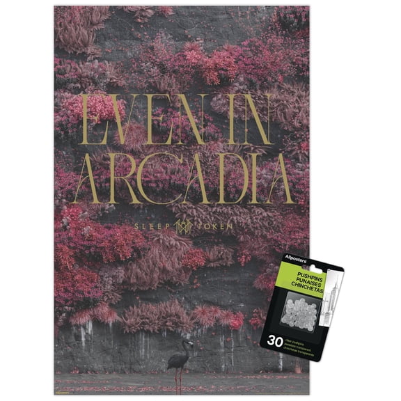 Sleep Token - Flamingo Even In Arcadia Wall Poster with Push Pins, 14.725" x 22.375"