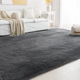 thumbnail image 1 of Sleep Zone Ultra-Soft Plush Area Rug 6×9 Feet, Dark Grey Non-Slip Fuzzy Rug for Living Room, 1 of 8