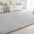 thumbnail image 1 of Sleep Zone Ultra-Soft Plush Area Rug 6×9 Feet, Grey Non-Slip Fuzzy Rug for Living Room, 1 of 8