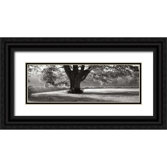 Sleeper, Mike 24x11 Black Ornate Wood Framed with Double Matting Museum Art Print Titled - Ascendancy)