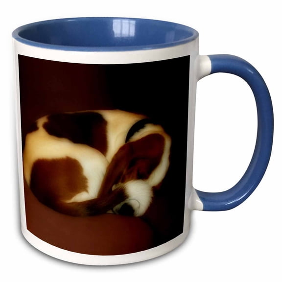 3drose, Sleeping Basset Hound with Curly Tail, 11oz Two-tone Blue Mug