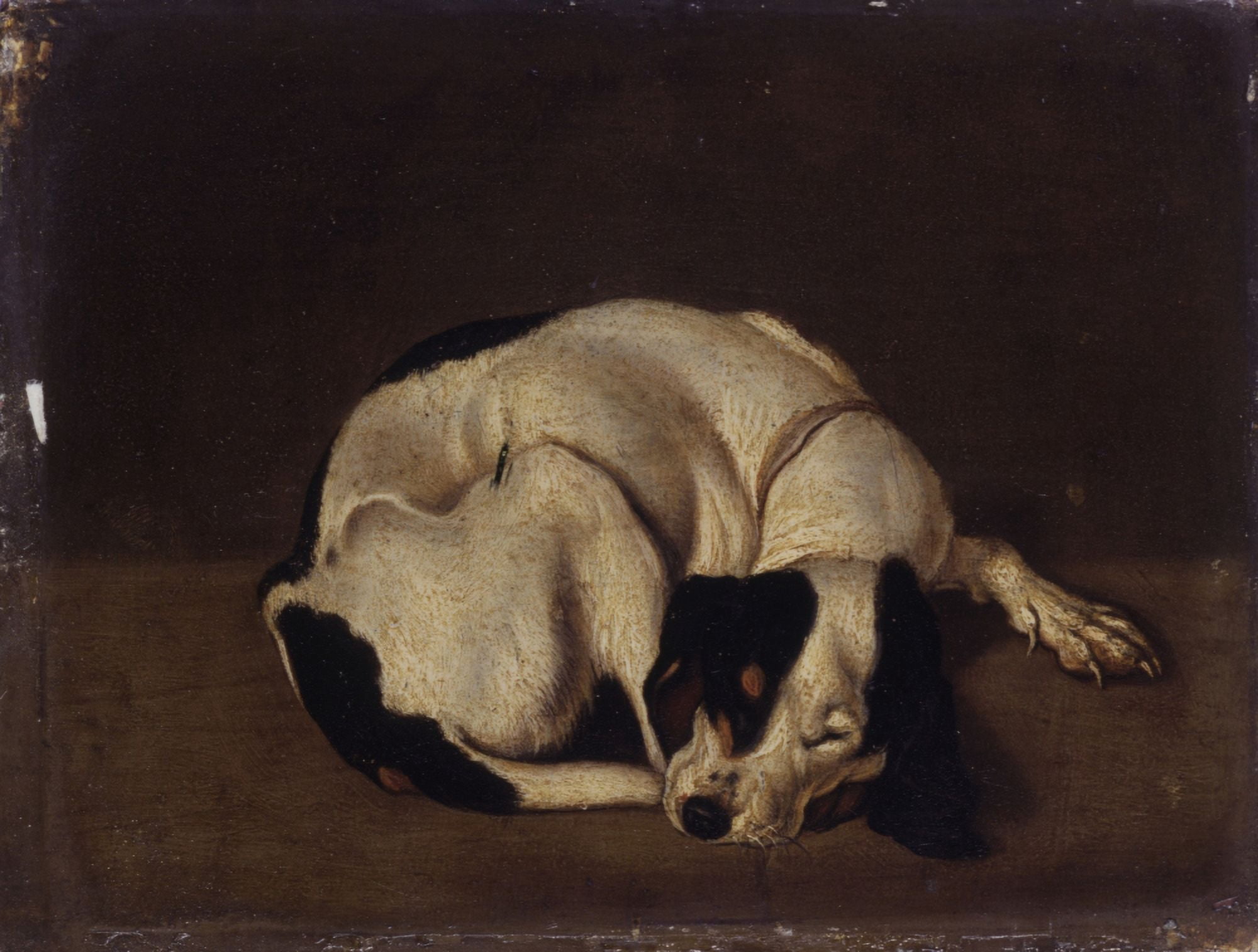 Sleeping Dog Canvas Art - (24 x 18)