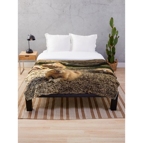 Sleeping Lion Cub Wildlife Fleece Blanket, Brown and Tan Polyester Fleece Fabric, 280 GSM, Nature Style