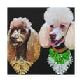 thumbnail image 1 of "Sleeping Poodle Dreamscape" - Canvas, 1 of 25