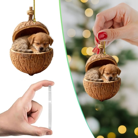 Manlut Shell Sleeping Puppy Walnut Shell 2D Acrylic Hanging Ornament,Tiny Sleepy Dog ...