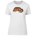 thumbnail image 1 of Sleeping Red Fox Illustration T-Shirt Women -Image by Shutterstock, Female Small, 1 of 4