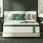 Sleepmax Aura 14" Firm Queen Hybrid Mattress in a Box, 365 Night Trial, Euro Top, Pain Relief, CertiPUR-US