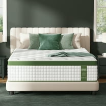 Sleepmax Aura 14" Firm Queen Hybrid Mattress in a Box, 365 Night Trial, Euro Top, Pain Relief, CertiPUR-US
