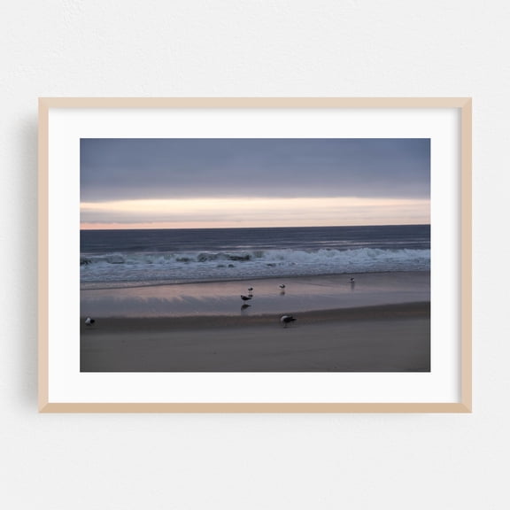 Sleepy Gulls - Long Branch New Jersey Photography Beach Ocean Seascape Waves Sunset Coast Bird Oak Framed Wall Art Print 24 x 36 inches