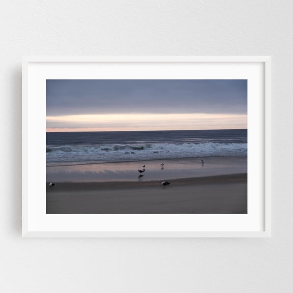 Sleepy Gulls - Long Branch New Jersey Photography Beach Ocean Seascape Waves Sunset Coast Bird White Framed Wall Art Print 5 x 7 inches