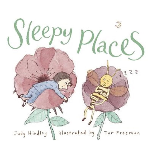 Pre-Owned Sleepy Places (Hardcover) 0763629839 9780763629830