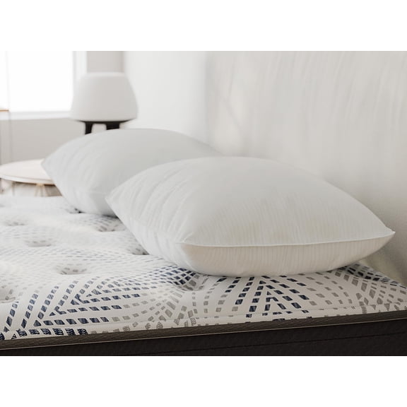 Sleepy's by Mattress Firm Feather and Down Chamber Pillow, Breathable Cool Natural Cotton Cover, Medium Density, Great for All Sleepers, Standard Queen