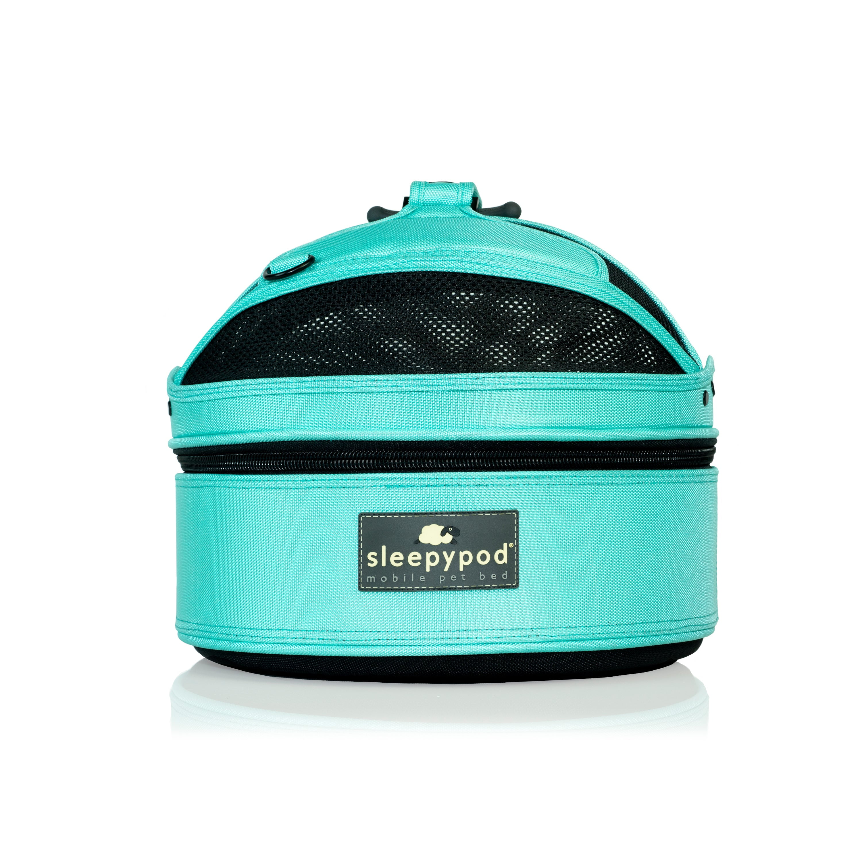 Robin Egg Blue