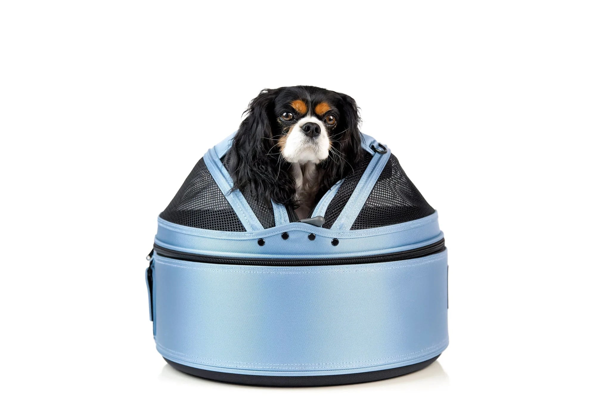 Sleepypod Mobile Pet Bed — Multi-use Travel Pet Bed, Crash-Tested