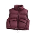thumbnail image 1 of Sleeveless Puffer Vest with Stand Collar Full Zip Closure Drawstring Hem Lightweight Quilted Outerwear for Men Women, 1 of 3
