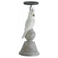 thumbnail image 1 of Slender Cockatoo Candle Holder, 1 of 1