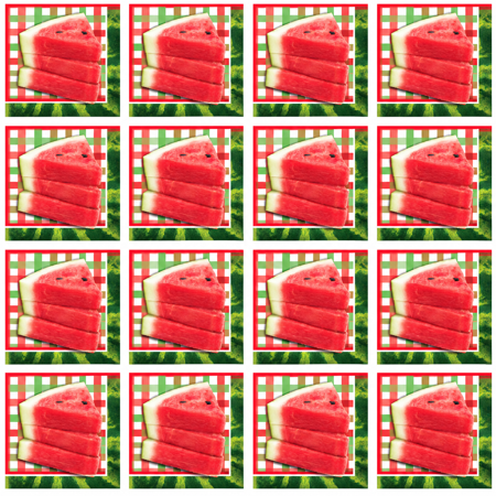 Watermelon Napkins Slice of Summer 16 pk