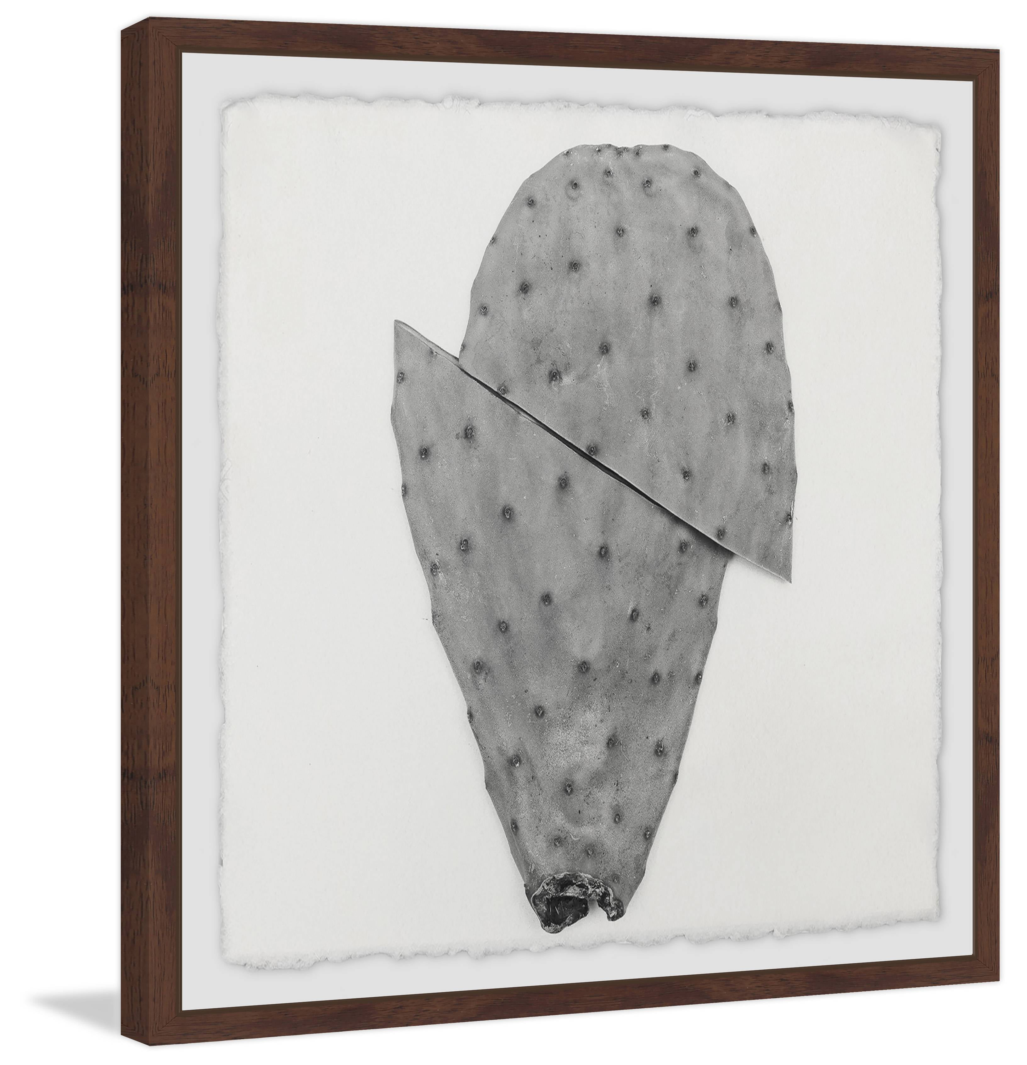 Sliced Cactus Framed Painting Art Print, 12.00" x 1.50"