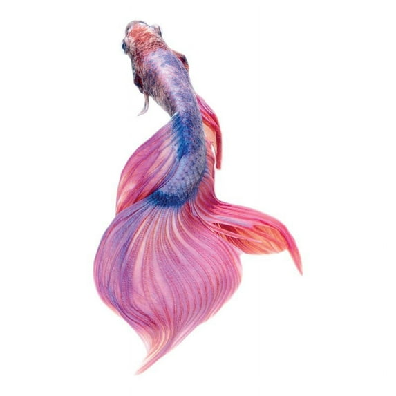 Slick Woody's 30" Betta Fish Vinyl Underwater Pool Mat Tattoo in Pink